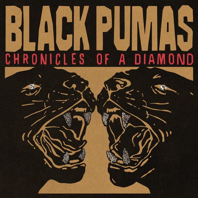 Release Cover Black Pumas - Chronicles of a Diamond