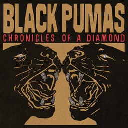 Release Cover Black Pumas - Chronicles of a Diamond