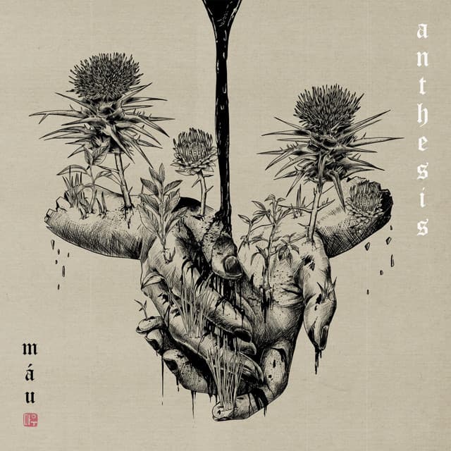 Release Cover máu - Anthesis