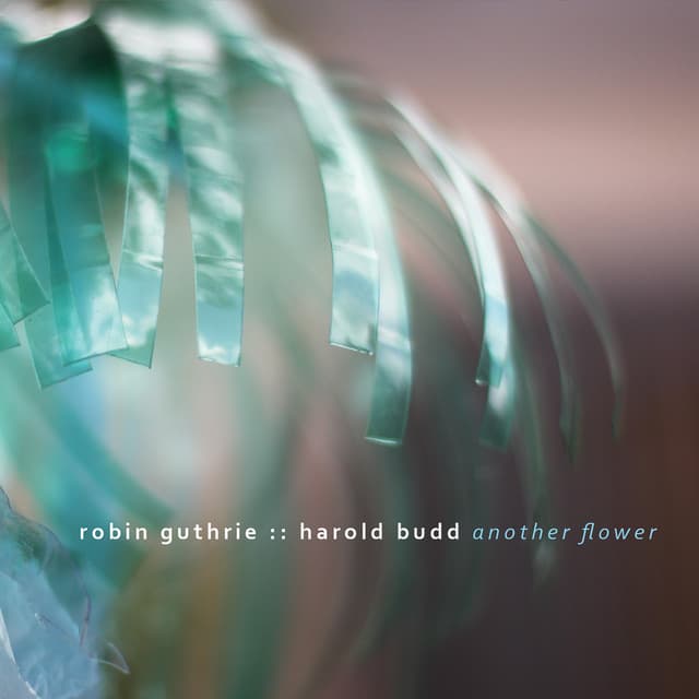 Release Cover Robin Guthrie, Harold Budd - Another Flower