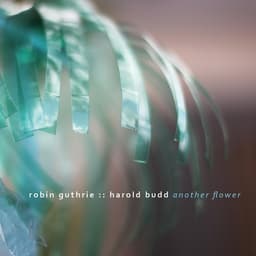 Release Cover Robin Guthrie, Harold Budd - Another Flower