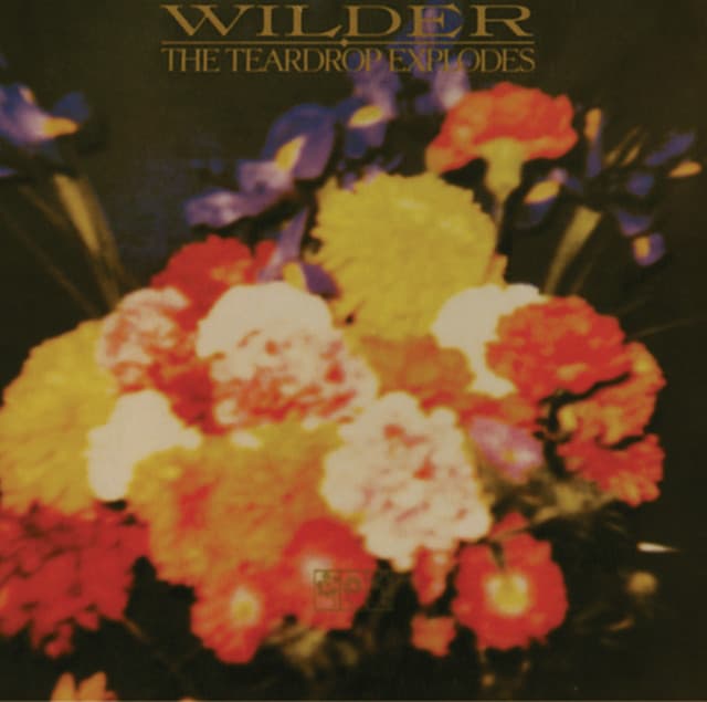 Release Cover The Teardrop Explodes - Wilder