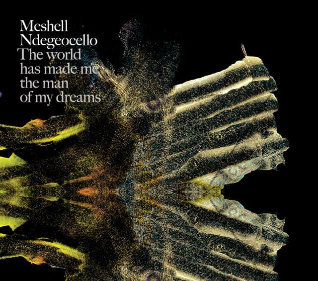 Release Cover Meshell Ndegeocello - The World Has Made Me The Man Of My Dreams