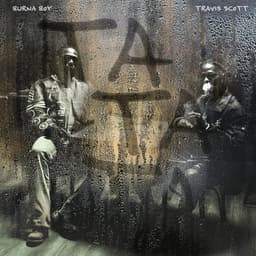 Release Cover Burna Boy, Travis Scott - TaTaTa (feat. Travis Scott)
