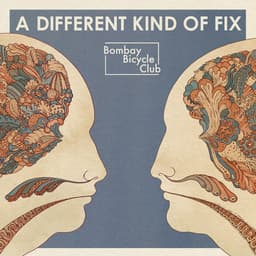 Release Cover Bombay Bicycle Club - A Different Kind Of Fix