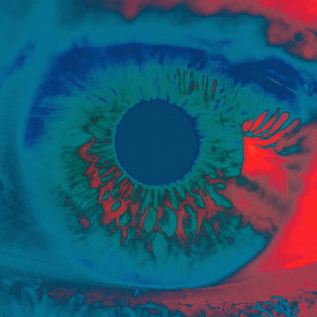 Release Cover Chromatics - Shadow (Remixes)