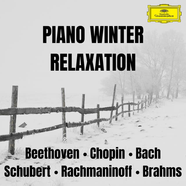 Release Cover Ludwig van Beethoven, Frédéric Chopin, Franz Schubert, Sergei Rachmaninoff, Johannes Brahms, Johann Sebastian Bach - Piano Winter Relaxation