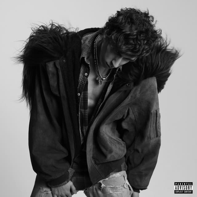 Release Cover nate sib - for us