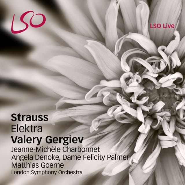 Release Cover Richard Strauss, London Symphony Orchestra, Valery Gergiev, Jeanne-Michele Charbonnet, Angela Denoke, Dame Felicity Palmer, Matthias Goerne, Lia Shevtsova - Strauss: Elektra