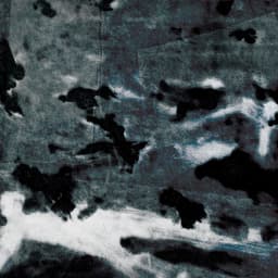 Release Cover Mick Jenkins, EMIL - A MURDER OF CROWS