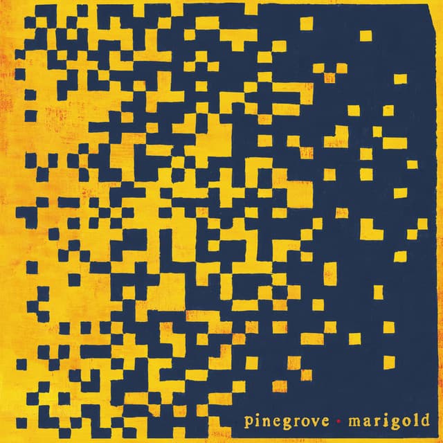 Release Cover Pinegrove - Marigold