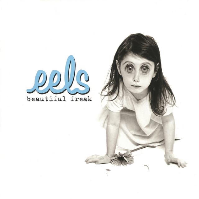 Release Cover Eels - Beautiful Freak