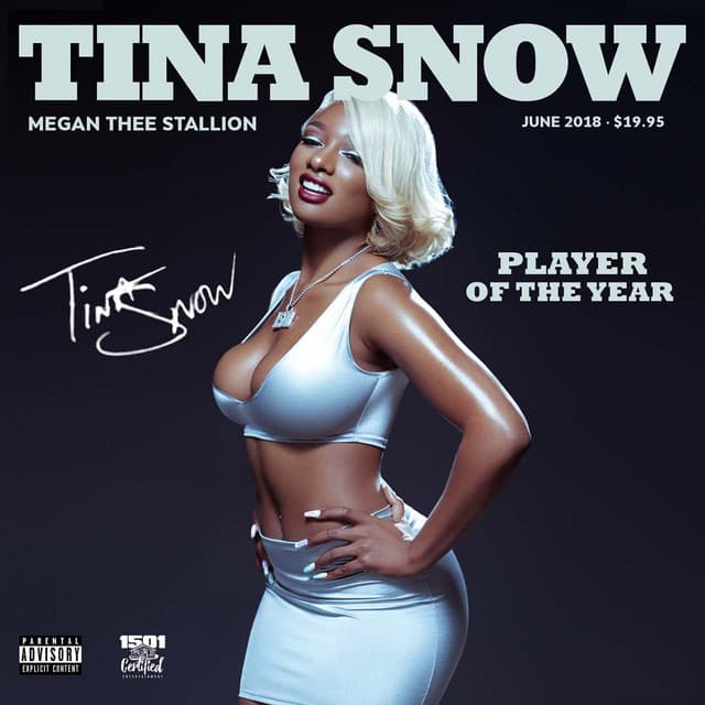 Release Cover Megan Thee Stallion - Tina Snow