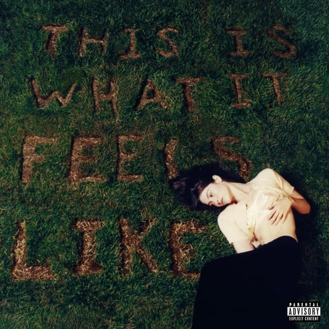 Release Cover Gracie Abrams - This Is What It Feels Like