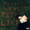 Release Cover Gracie Abrams - This Is What It Feels Like