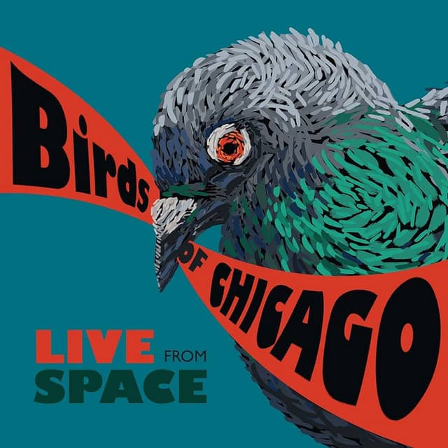 Release Cover Birds of Chicago, Allison Russell, JT Nero - Live From Space (Evanston, Illinois / June 28, 2013)