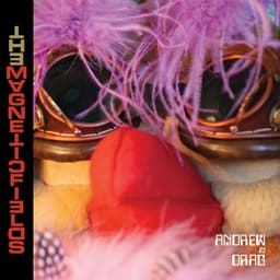 Release Cover The Magnetic Fields - Andrew in Drag / When Next I Fall In Love