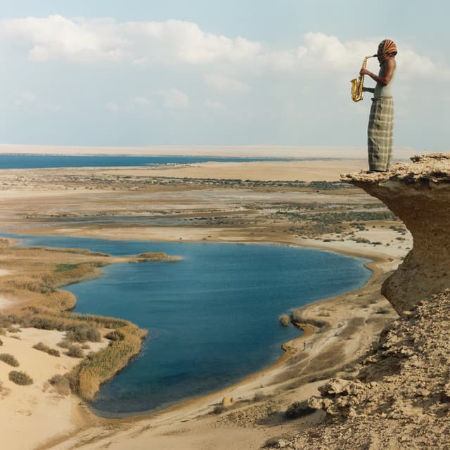 Release Cover Venna - MALIK