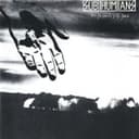 Cover of From the Cradle to the Grave by Subhumans
