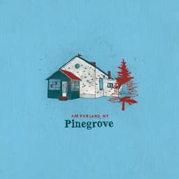 Release Cover Pinegrove - Amperland, NY
