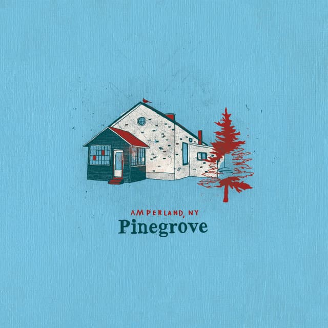 Release Cover Pinegrove - Amperland, NY