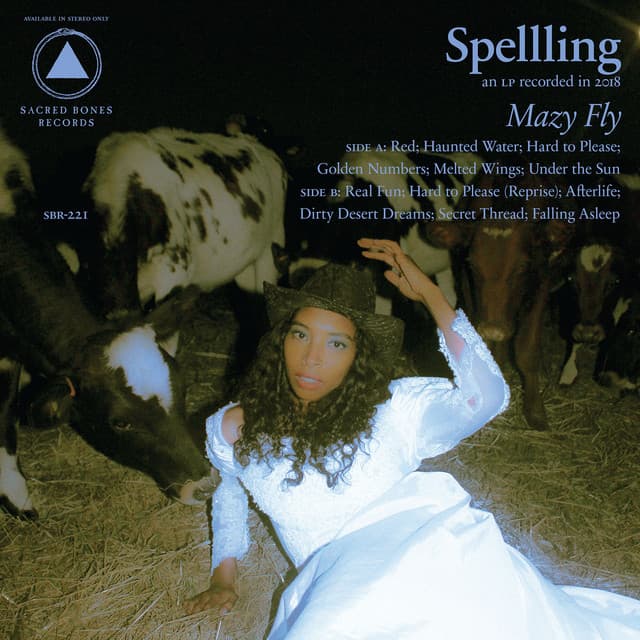 Release Cover SPELLLING - Mazy Fly