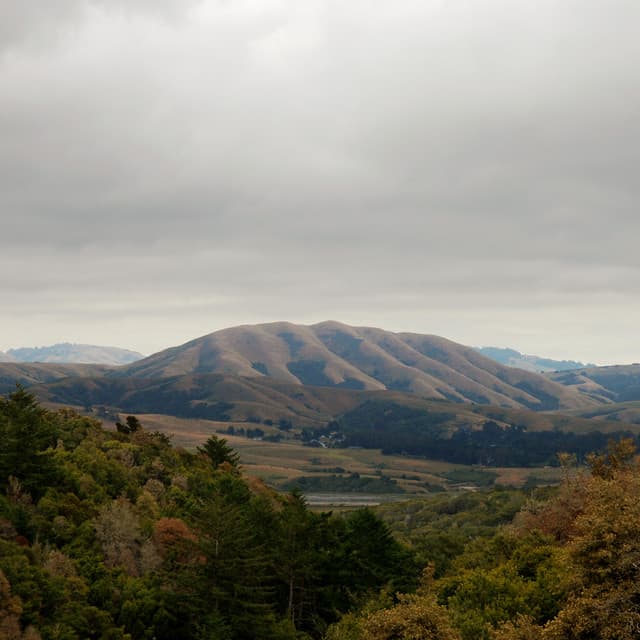 Release Cover Dirty Projectors, Björk - Mount Wittenberg Orca (Expanded Edition)