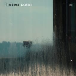 Release Cover Tim Berne - Snakeoil
