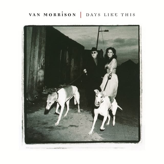 Release Cover Van Morrison - Days Like This