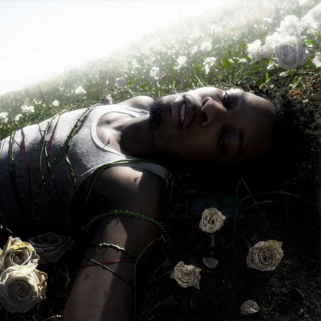 Release Cover d4vd - WITHERED