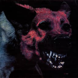 Release Cover Protomartyr - Under Color of Official Right