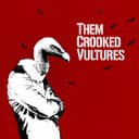 Cover of Them Crooked Vultures by Them Crooked Vultures
