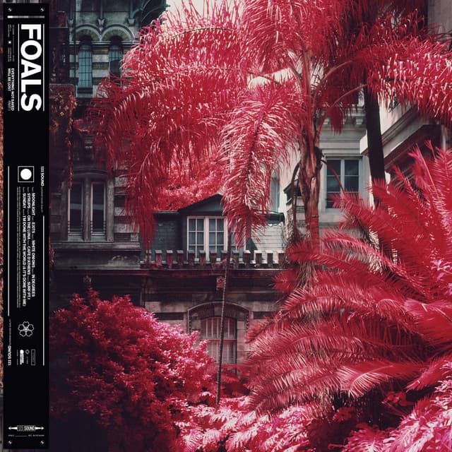 Release Cover Foals - Everything Not Saved Will Be Lost Part I