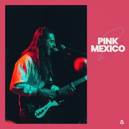 Release Cover PINK MEXICO, Audiotree - PINK MEXICO on Audiotree Live