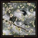 Cover of Revelator by Phosphorescent