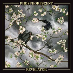 Release Cover Phosphorescent - Revelator