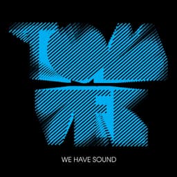 Release Cover Tom Vek - We Have Sound