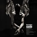 Cover of Antidepressants by The London Suede