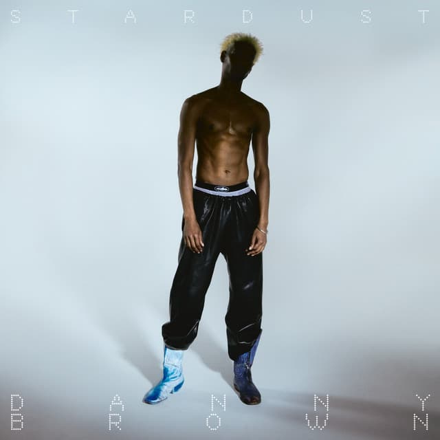 Release Cover Danny Brown - Stardust