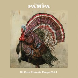 Release Cover DJ Koze - DJ Koze Presents Pampa, Vol. 1