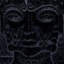Cover of 10,000 Days by TOOL