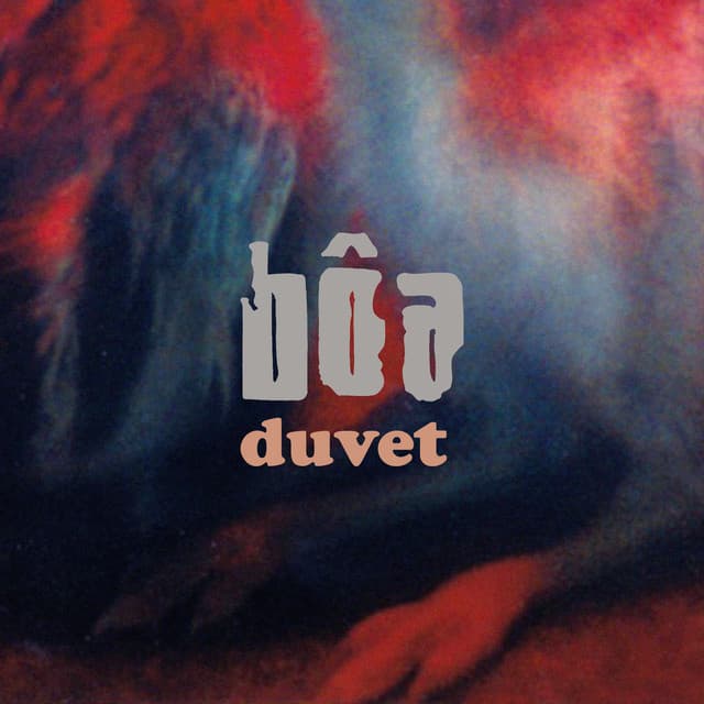 Release Cover bôa - Duvet