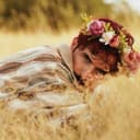 Cover of Cabin Fever by Tom Aspaul