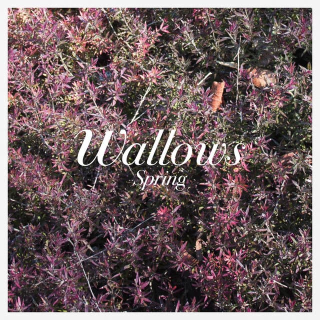 Release Cover Wallows - Spring EP