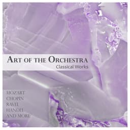 Release Cover Wolfgang Amadeus Mozart, Johann Sebastian Bach, Johannes Brahms, Pyotr Ilyich Tchaikovsky, Franz Schubert, Maurice Ravel, Frédéric Chopin, George Frideric Handel, Antonio Vivaldi - Art of the Orchestra: Classical Works