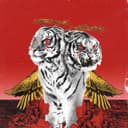 Cover of New Levels New Devils by Polyphia