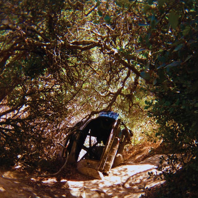 Release Cover Ty Segall - Possession