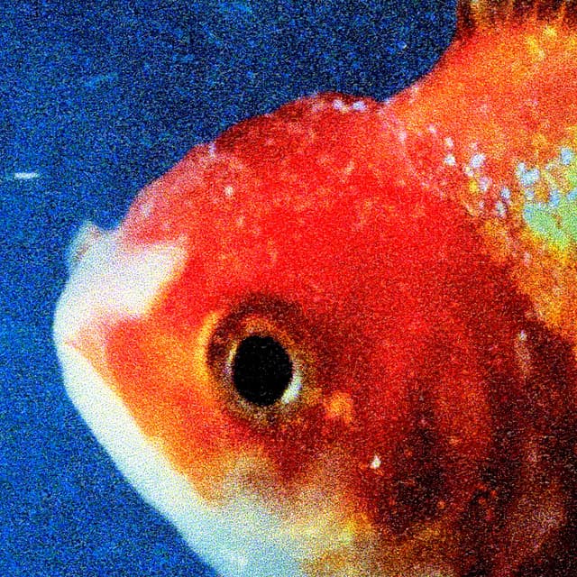 Release Cover Vince Staples - Big Fish Theory