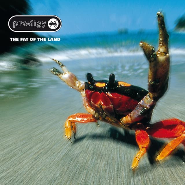 Release Cover The Prodigy - The Fat of the Land