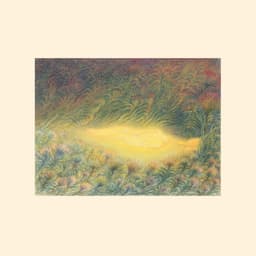 Release Cover Sofie Birch, Antonina Nowacka - Languoria